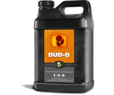 HEAVY 16 Heavy 16 Bud B 2.5 Gallon 10L H161006BB10