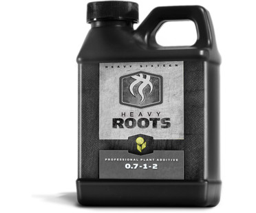 HEAVY 16 Heavy 16 Roots 16OZ 500ML H161049RS500