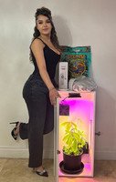 Grow Box