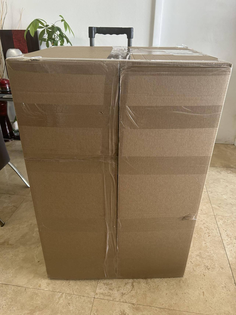 Free Shipping
