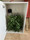 Dealzer Magic Herb Dryer 4.0, 30 plant capacity drying box product in white.