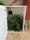 Dealzer Magic Herb Dryer 4.0 30 Plant Drying Box, new-arrivals, compact indoor herb preservation device.