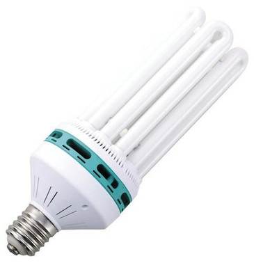 Dealzer InterLuxy 200W CFL 6400K Bulb