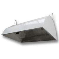 Dealzer Lil Hood DE Lamp Reflector