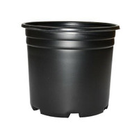 Dealzer 5 Gal Squat Thermoformed Pot