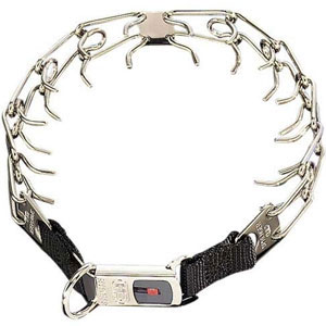 Herm Sprenger Prong Collar Buckle