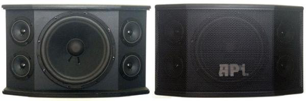 speaker karaoke 10 inch