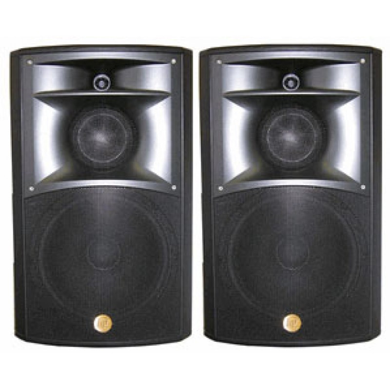 martin speakers