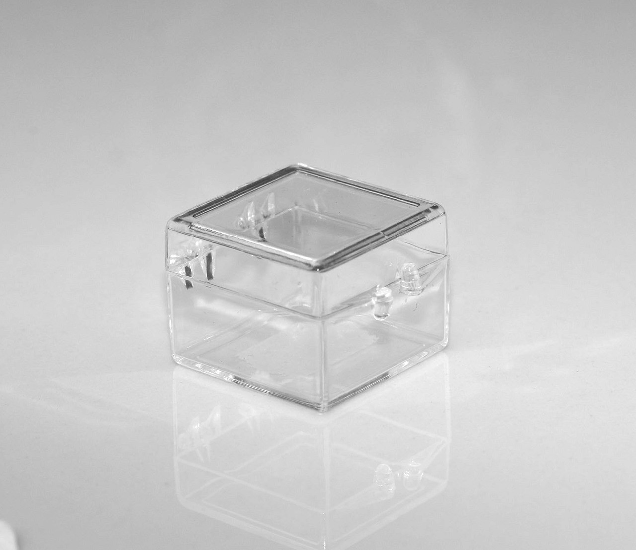 plastic box with hinged lid