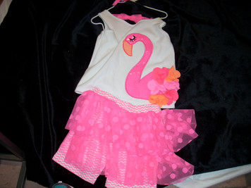 Flamingo Skirt Set