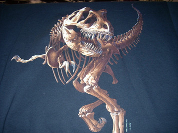 Children's T Rex Skeleton Large