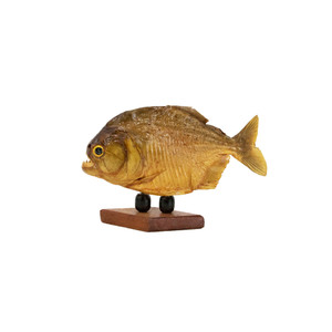 Piranha on Base Small