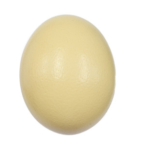 Ostrich Egg