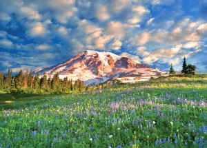 Wildflowers at Mt. Rainier Jigsaw Puzzle 1,000 