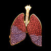 Lung Zipper Pull