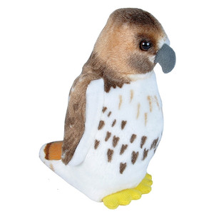 Audubon Birds Red Tailed Hawk