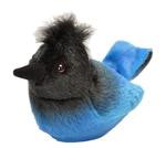 Audubon Birds Steller's Jay