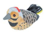 Audubon Birds Northern Flicker