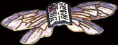 Book Wings Pin