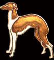 Greyhound Pin