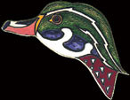 Wood Duck Pin