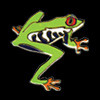 Tree Frog Zipper Pull