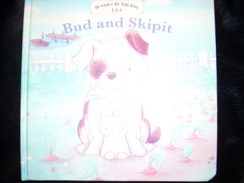 Bud and Skipit Board Book
