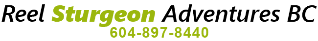 reelfishing-logo.png reelfishing-logo.png