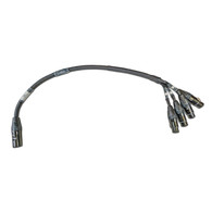 Ethercon To 4ch Female XLR Breakout Cable Built To Length