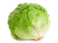 Lettuce - Iceberg