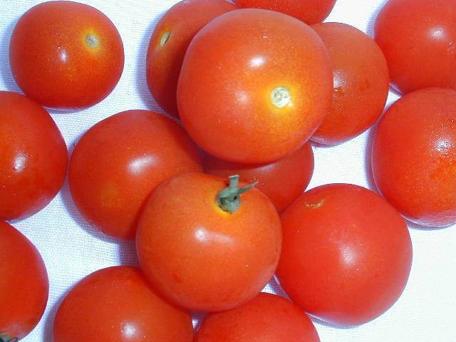 tomato出品 Tomato - 500g - Illawarra Fruit Direct