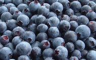 Blueberries