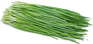 Garlic Chives