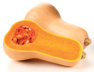 Pumpkin - Butternut - half