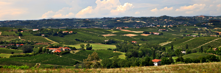Monferrato skyline