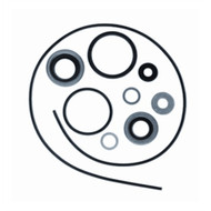Sierra 18-2684 Johnson Evinrude 18-20 HP OMC Gear Housing Seal Kit 304764