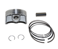 Yamaha F250 3.3L 4-Stroke Piston Ring Kit 1.00mm Wiseco 11693M09500 O/B Engine
