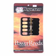 Mercury PRE-1995 Carburated 105-135-140-150-175-200 Intake Reed KIT Boyesen B265