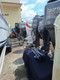 Image 6 Image 6