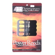 Johnson Evinrude 90-115 FFI V4 Reed Kit Boyesen B144P Intake Manifold Inject