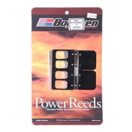 Mercury 2.5L 135-150-175-200 Intake Reed Kit 855952T 2 Boyesen B264-13D DRAG RACING