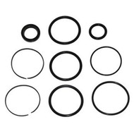 OMC Cobra Trim Tilt Cylinder Seal Kit Lines Enter Fore & Aft 985060 3854247