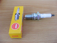 NEW Spark Plug NGK 5531 DPR6EA-9 Mercury 827898
