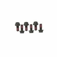 Sea-Doo GTX 4Tec Wake RXP RXT GTI 03-15 Magneto Screw Kit 295501043 SBT FSX-06K
