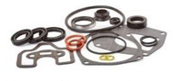 Mercury 3.0L 200-225-250-300 EFI-DFIoptimax SEAL KIT Gearcase 816575A4 LowerUnit