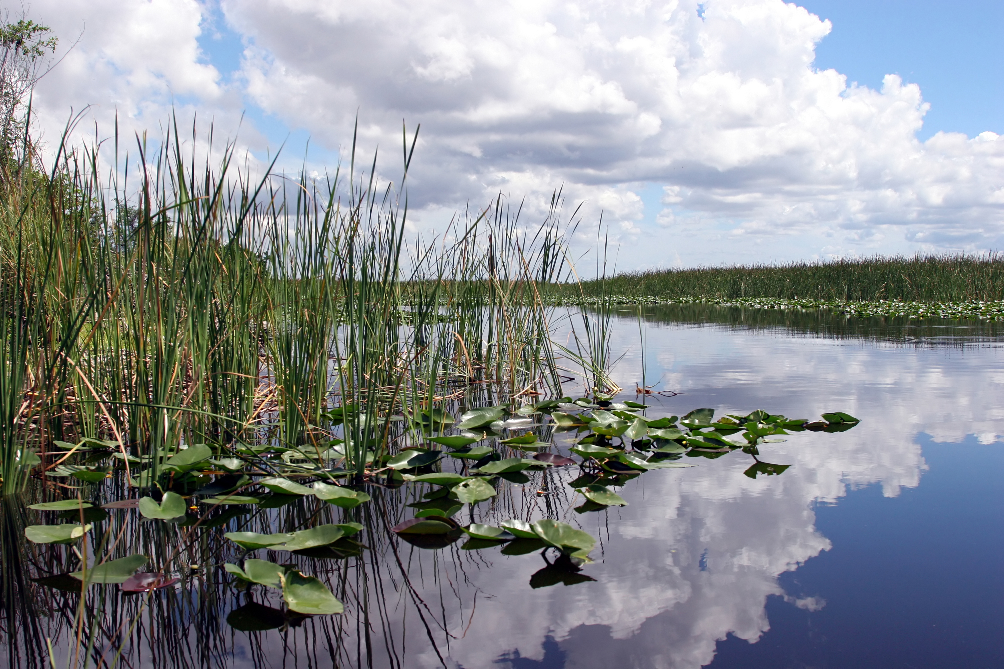 Everglades National Park | Everglades Tours | Airboat Tours