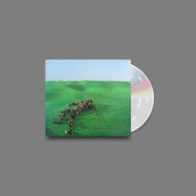 Squid - Bright Green Field (CD)