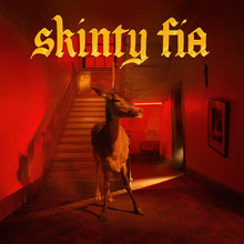 Fontaines D.C. - Skinty Fia (CD)