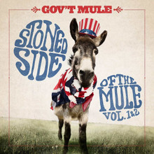 Gov't Mule - Stoned Side Of The Mule (CD)