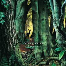 David Sylvian - Manafon (2 VINYL LP)